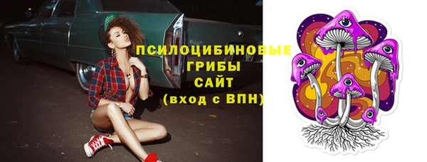 a pvp Иннополис