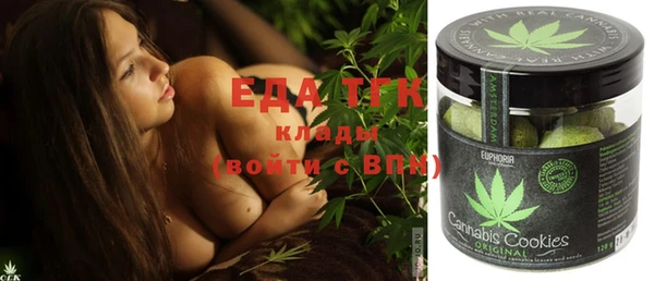тгк Инта