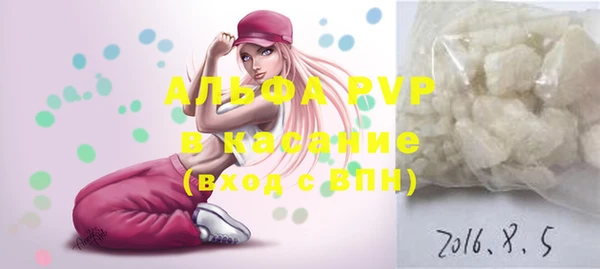 винт Инсар