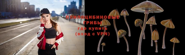 винт Инсар
