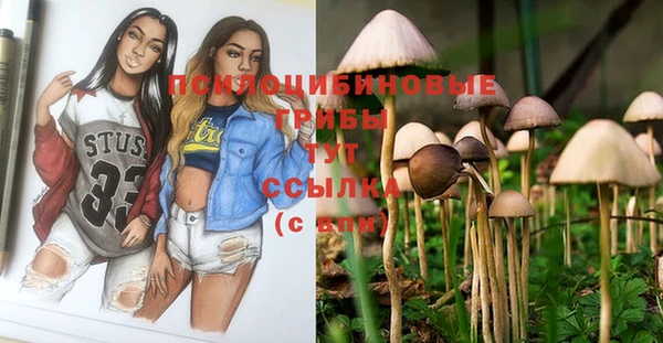 тгк Инта