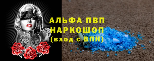 тгк Инта