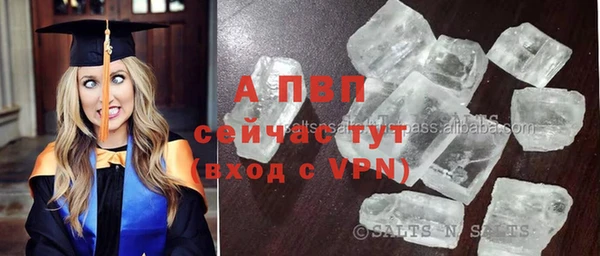 винт Инсар