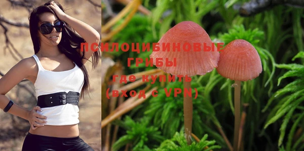 винт Инсар